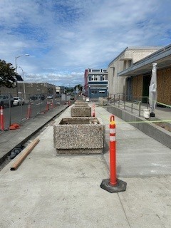 Planters return to 10th St Planters return to 10th St